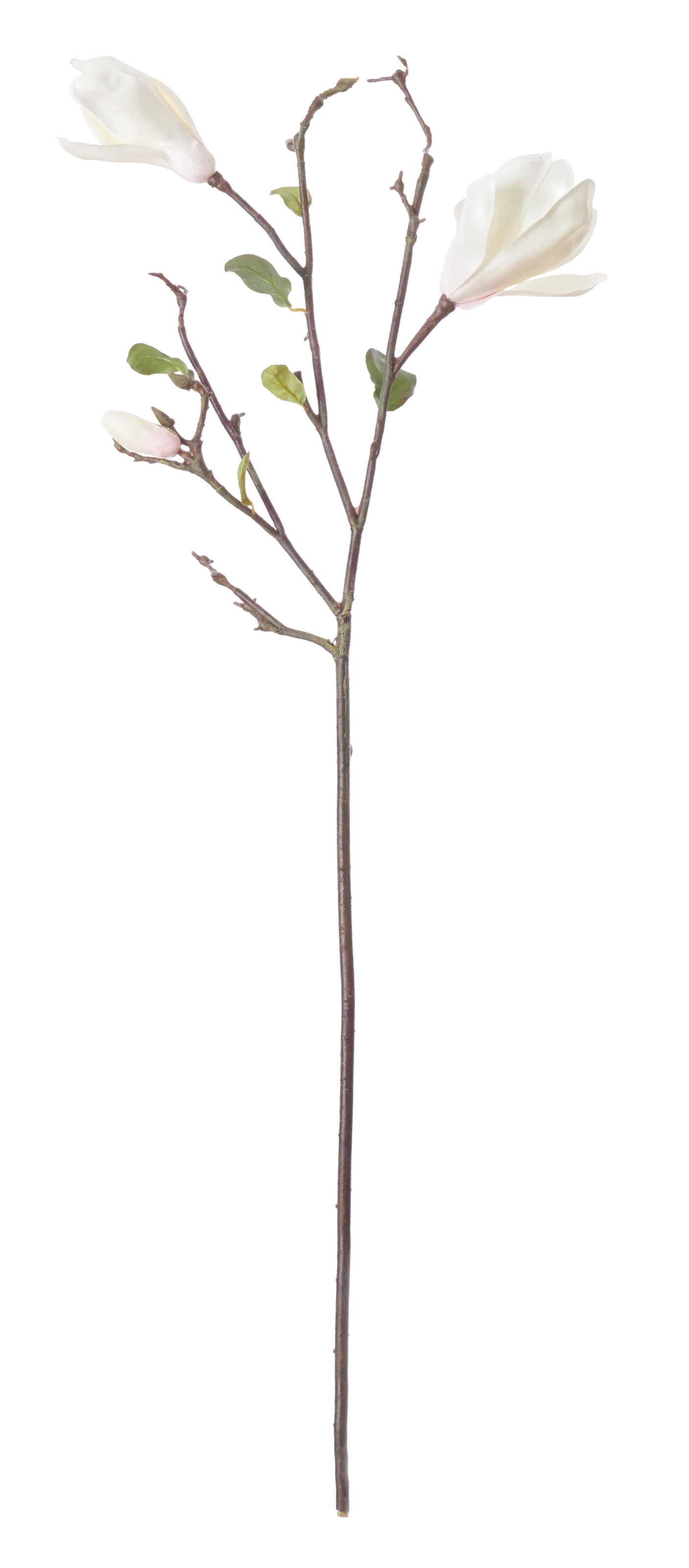 Product image 85